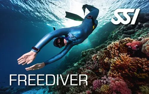 ssi freediver corso ssi freediver - apneista al mare