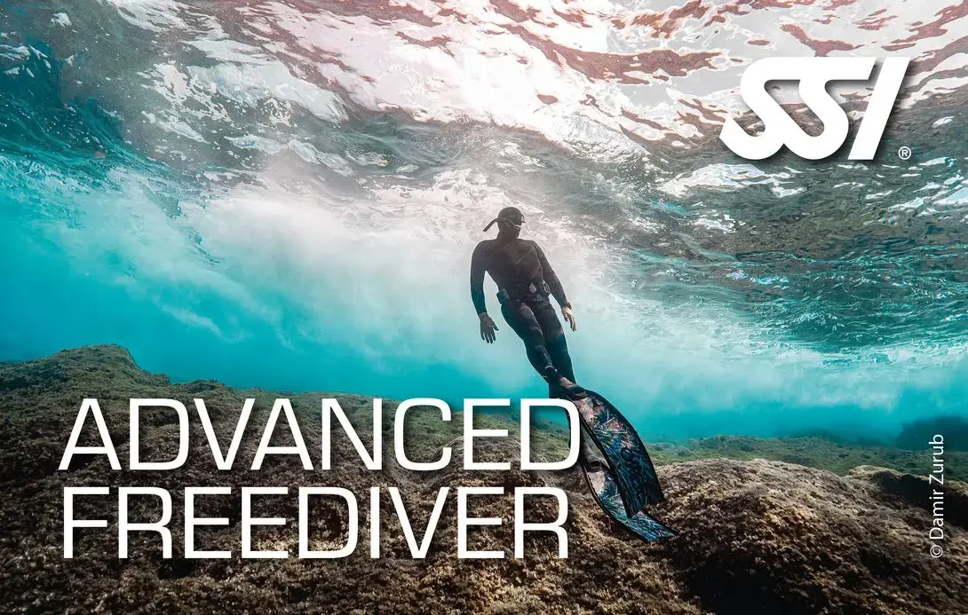 ssi advanced freediver corso advanced freediver ssi - apenista al mare
