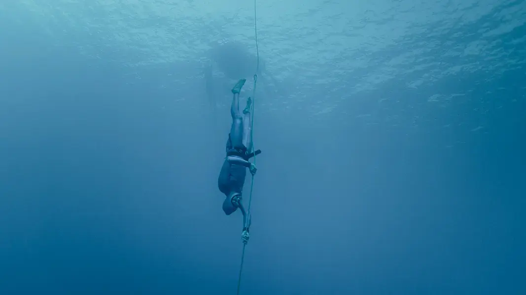 Freeimmerison manta freediver apneista in freeimmersion al mare