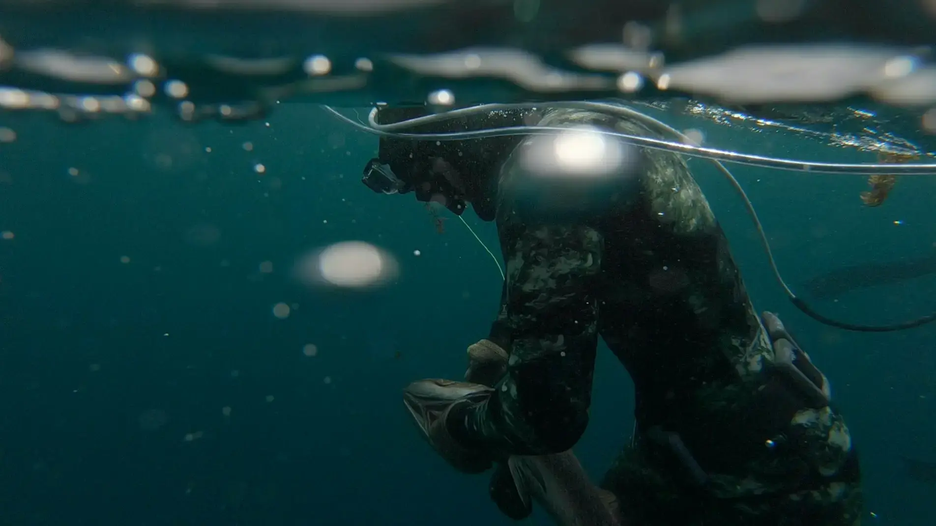 pesca manta freediving pescatore - pesca manta freediving